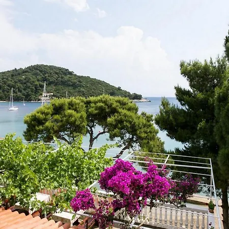 Franka Saplunara-one-bedroom With Terrace And Sea View No1 Apartament